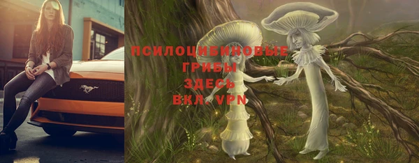 героин Алзамай