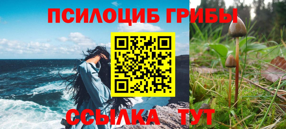 Калач-на-Дону  Псилоцибиновые грибы GOLDEN TEACHER  Вход с VPN 