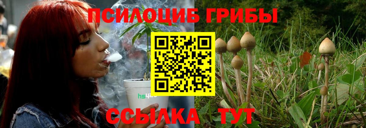 Псилоцибиновые грибы Magic Shrooms Калач-на-Дону